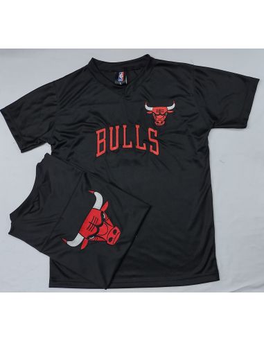 REMERA DEPORTIVA BORDADA CHICAGO BULLS